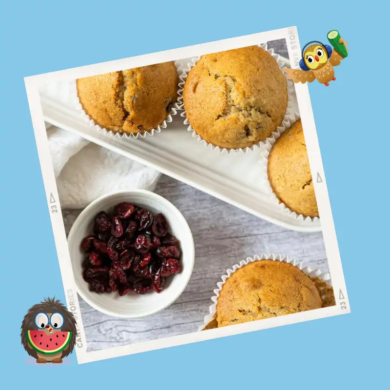 Cranberry Muffins – Tidy Tot