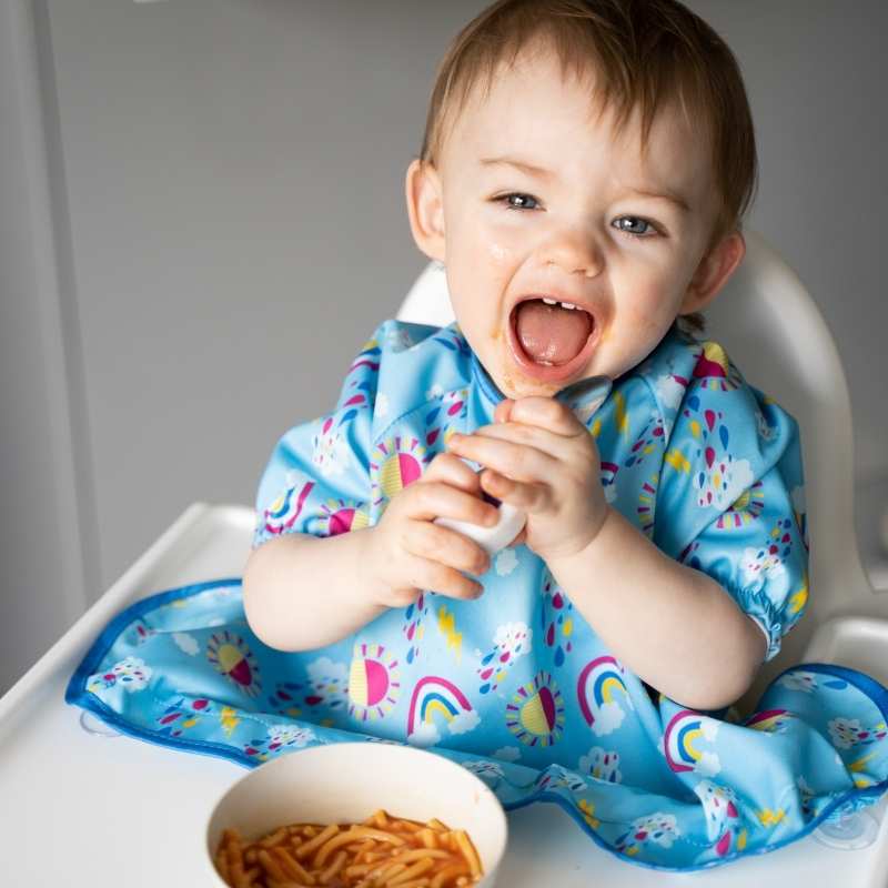 Easy BLW breakfast ideas Tidy Tot