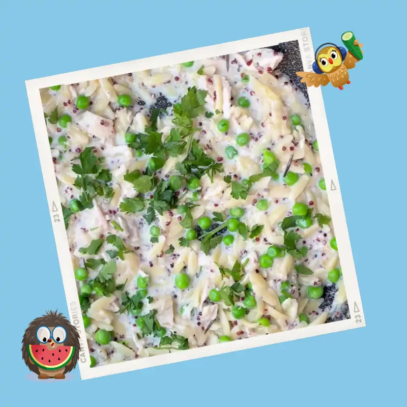 Creamy Chicken Orzo – Tidy Tot