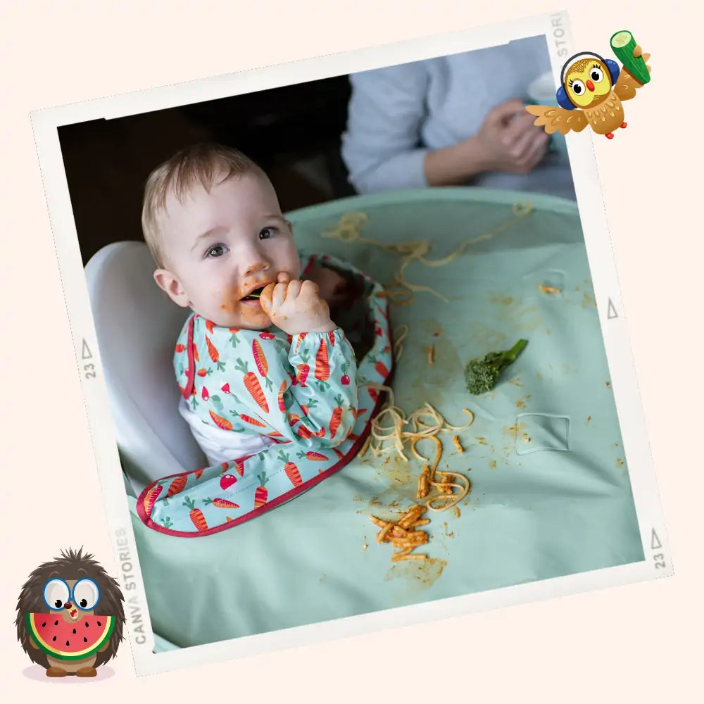 Top 5 best Highchairs for baby led weaning