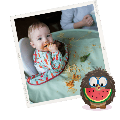 Weaning Essential Bib and Tray Kit 