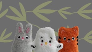 Wash Mitts product video